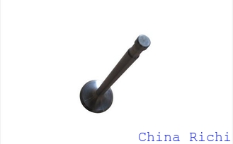 TATRA T815  exhaust valve